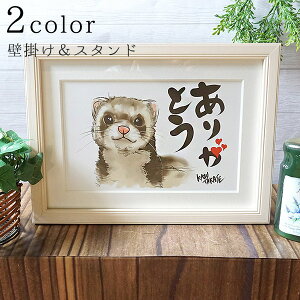 kazu TAKASE bZ[WA[gu肪ƂvitFbgji}bgtA4zjtFbg A[g A[g G Mtgt[ zA[g bZ[WG j v[g Mtg z}b