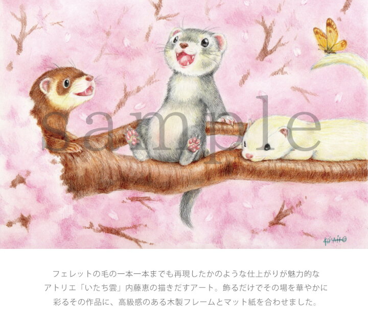 楽天市場 アトリエいたち雲 フェレットアート 桜 額付き マット付きa4額 限定品 イラスト アート 額 絵画 絵 インテリア フェレット フェレットワールド 楽天市場店