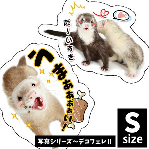 IWitFbgXebJ[@ʐ^V[Y`fRtF2 STCYtFbg C^`  XebJ[ V[ UVH h fR[V CXg LN^[ 킢 낢 O