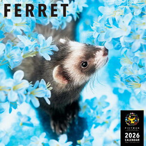 C^[Y[ Aj}J_[ tFbg 2026y唻IWiV[tzJ_[ tFbg C^[Y[ J_[2026 Ǌ| G ObY 킢  Aj} ߂ 