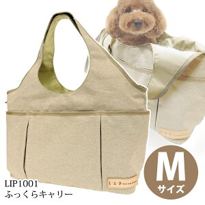 LIP1001@ӂL[ Thx[W@MTCYyz@ hbO tFbg ybg L[obO L[P[X ybgL[ obO   ^ s ł