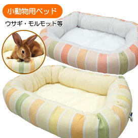 楽天市場】三晃商会 Repti wild レプタイルボックス WIDE（ワイド 