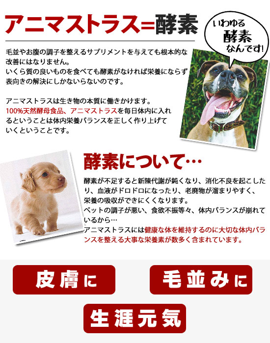 楽天市場】アニマストラス 顆粒タイプ20g 犬 ドッグ 猫 フェレット