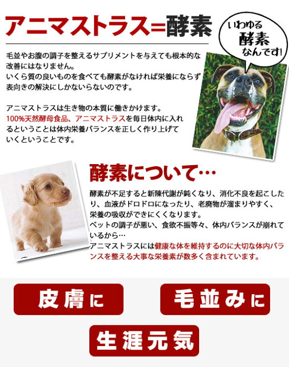 楽天市場 アニマストラス リキッドタイプ100ml 犬 ドッグ 猫 フェレット ウサギ 小鳥 ペット 小動物 栄養剤 酵素 酵母 健康維持 サプリメント ビタミン ミネラル アミノ酸 フェレットワールド 楽天市場店