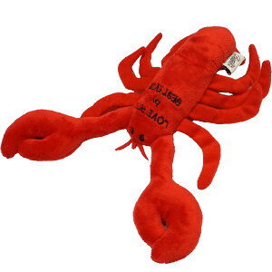 xXgGo[ XNC[L[@Pet Toy uX^[yzyz@ hbO tFbg ybgObY ybgpi ʂ I` XgX 킢 ʐ^f C̐ 