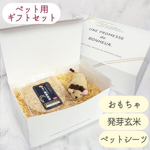 yMtgZbgzybgV[c{bNXi++ybgV[cjybg  hbO tFbg  j 茺 gCV[c Mtg v[g } p[eB[ yY 