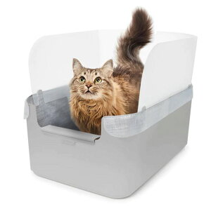 fLbg ^[gC Lp gC X^CbV Vv _ CeA  LgC B LpgC Lbg L ˂