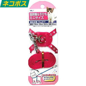 A[XEybg ˂e JbgLփ~jN sN 