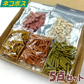 犬 おやつ 柔らかおやつ5点Bセット 小・中・老犬に最適 送料無料