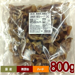   Y p ؎n[h800gi傫Jbg^CvjƖp KiO  Y W[L[ ؃~~ u^~~  ΃PA  ݂ K f^K f^PA h