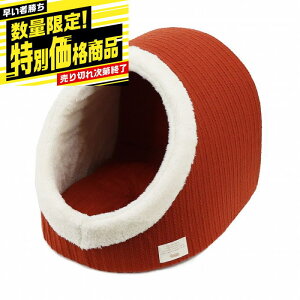 ҏ ʌ ʉi ybgvWp Homey jbgh[xbh IW