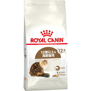 CJi tB[C wX j[gV GCWO 12+ 12Έȏ̘VLp 400gk2509078cdl