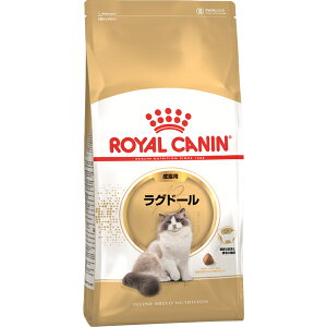 CJi tB[C u[h j[gV Oh[ Lp 400gk2509078cdl