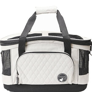 CoConte dog {XgobOL[ O[