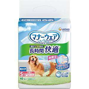 }i[EFA ԉKIc j̎qp STCY 40