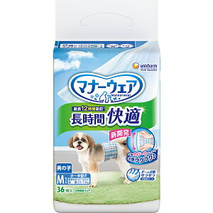 }i[EFA ԉKIc j̎qp MTCY 36