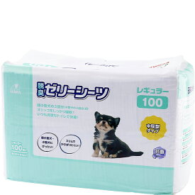 脱臭ゼリーシーツ 中厚型タイプ レギュラー 100枚