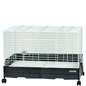 yzC[W[z[ G{ 80 ubNk25092547sol