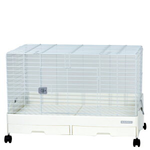 yzC[W[z[ G{ 80 zCgk25092547sol