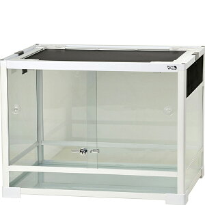 peI zCg WH6045