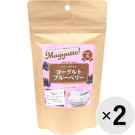 【セット販売】Magyutto！ フリーズドライ ヨーグルト ブルーベリー 22g×2コ〔26050910do〕