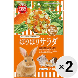【セット販売】ぱりぱりサラダ 230g×2コ