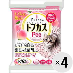 yZbg̔zgtJXPeeis[j 7L×4R