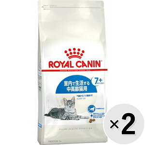 yZbg̔zCJi tB[C wX j[gV ChA 7+ Ő钆Lp 7΂12΂܂ 3.5kg×2Rk25100722cdl