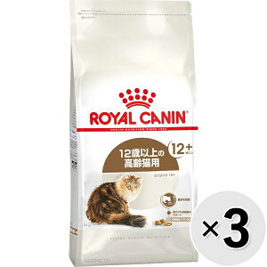 yZbg̔zCJi tB[C wX j[gV GCWO 12+ 12Έȏ̘VLp 400g×3Rk25090712cdl