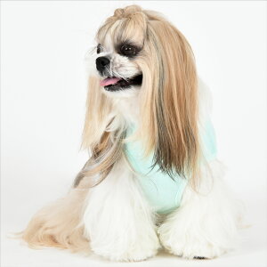 【PET'SREPUBLIC ペッツリパブリック】 しばいぬサンリオキャラクターズウェア犬 服 犬服 ドッグウェア 可愛い サンリオ