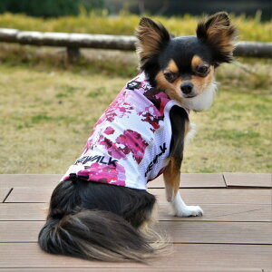 yGEWALK@WEH[NzN[O^NgbvyXS S Mz  Ck DOG  AEghA