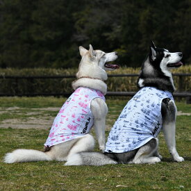 【GEWALK　ジウォーク】サンシェードタンクトップ【3XL】犬 いぬ イヌ DOG 服 アウトドア