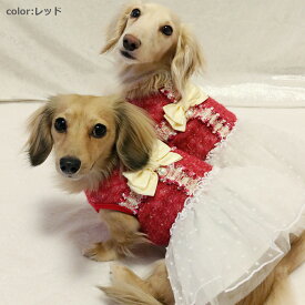 【Gemelli　ジェメリ】　ドットチュールワンピース【2号 3号 4号】　　ペット服　小型犬　犬服　ドックウェア　秋冬　かわいい