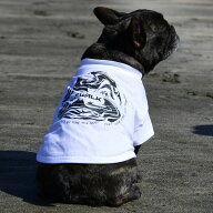 【GEWALK　ジウォーク】LGE530 GW　グラフィック　Tシャツ　ウェーブ 【BM BLブルドッグ専用サイズ】犬服…