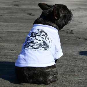 yGEWALK@WEH[NzLGE530 GW@OtBbN@TVc@EF[u yBM BLuhbOpTCYz ybg ĕ hbOEFA ybgEFA AEghA