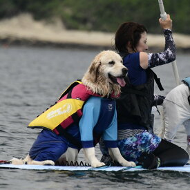 【GEWALK　ジウォーク】GW　ウェーブ　ライダー　エコ 　2024年モデル　犬用ライフジャケット　マリンスポーツ　ドックウェア　アウトドア　水遊び　サップ　ドックサップ　送料無料　犬用　ライフジャケット