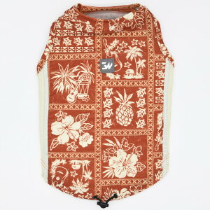 ^yGEWALK@WEH[Nz541ANeBu@TVF[h@^Ngbv ybg ĕ hbOEFA ybgEFA AEghA