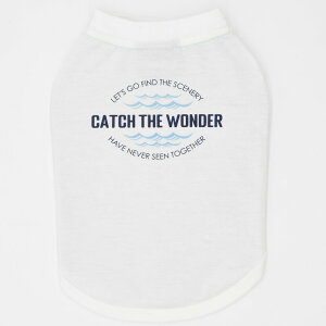 ^yGEWALK@WEH[Nz545OtBbN@eB[Vc ybg ĕ hbOEFA ybgEFA AEghA