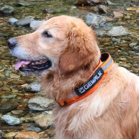 GEWALK　ジウォークGW　ヘビー　デューティ　カラー　エコ首輪　カラー　犬用(M L XL)