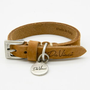 Da Vinci _B`(2.5 3 3.5 4 4.5)Jv\@bNX@U[@J[  Ck DOG  AEghA C^AU[ 