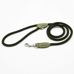 Da Vinci _B`(S L)rAJ@VeB[@[V@110  Ck DOG  AEghA C^AU[@[h