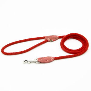 Da Vinci _B`(S L)rAJ@VeB[@[V@110  Ck DOG  AEghA C^AU[@[h