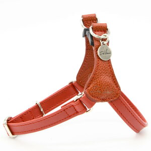 Da Vinci _B`(XS S M L)}Sbg@\tg@U[@n[lX  Ck DOG  AEghA C^AU[