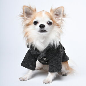 y70OFFzyFINED's t@CfB[Yzdq͂PR[gyXXS XSz    R[g