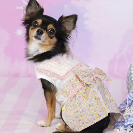 【PET'SREPUBLIC　ペッツリパブリック】マーガレットセーラーワンピース　犬 服 犬服 ドッグウェア　ワンピース