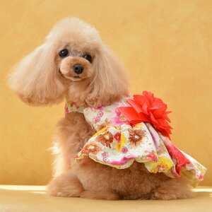 バルーン ワンピース 犬用品の人気商品 通販 価格比較 価格 Com