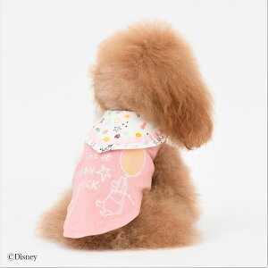 ySALEzyDisney fBYj[z m܂̃v[npCZ[[J[m[X[uyXS@S@M@Lz    hbOEFA