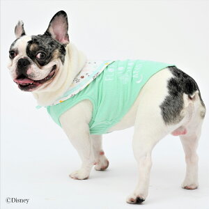 ySALEzyDisney fBYj[z m܂̃v[npCZ[[J[m[X[uyBXS@BS@BMz    hbOEFA