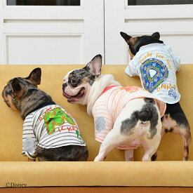 楽天市場 犬 ロンtの通販