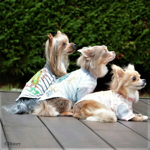 ySALEzyDisney fBYj[z AbvP{[_[TyXS@S@M@Lz    hbOEFA